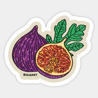 Mediterranean figs Sticker